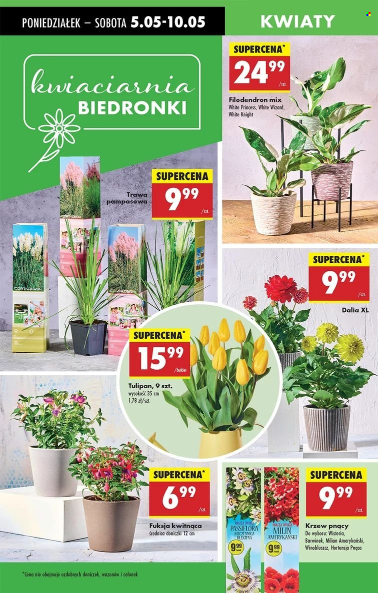 Gazetka Biedronka - 5.05.2025 - 10.05.2025. Strona 1