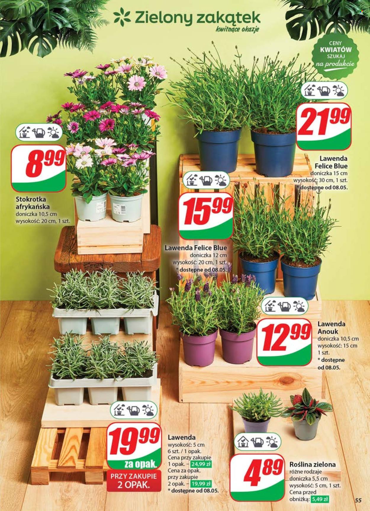 Gazetka Dino - 7.05.2025 - 13.05.2025. Strona 1