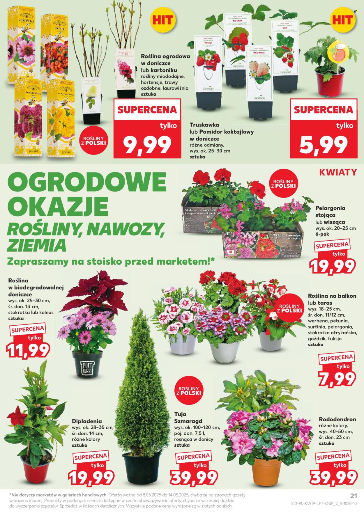 Gazetka Kaufland - 8.05.2025 - 14.05.2025. Strona 1