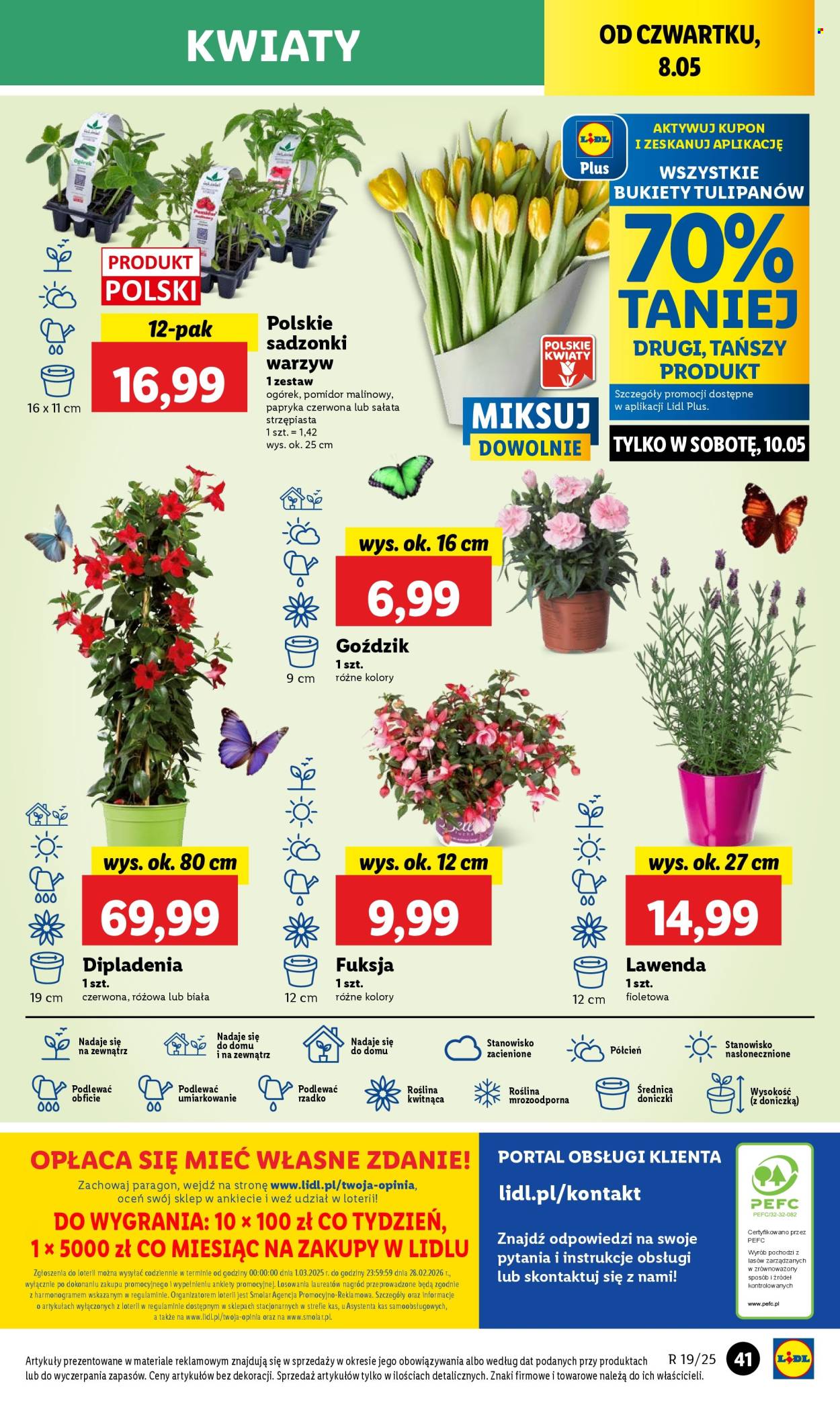 Gazetka Lidl - 8.05.2025 - 10.05.2025. Strona 1