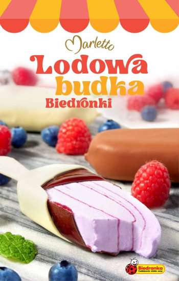 Gazetka Biedronka.
